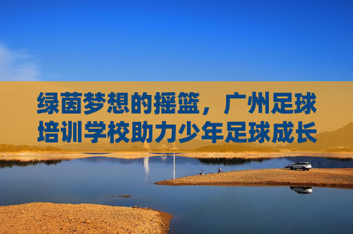 绿茵梦想的摇篮，广州足球培训学校助力少年足球成长，广州足球培训学校，绿茵梦想的摇篮，助力少年足球成长