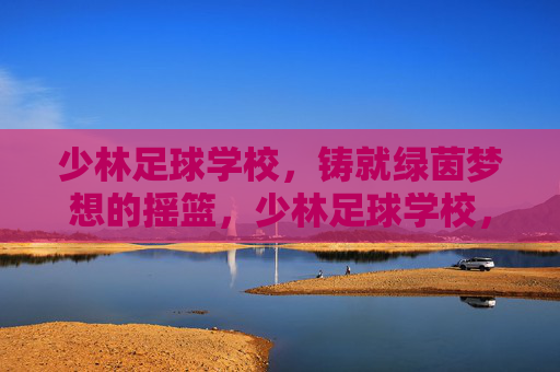 少林足球学校，铸就绿茵梦想的摇篮，少林足球学校，绿茵梦想的摇篮