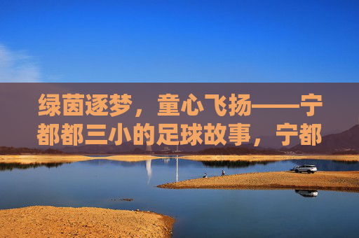 绿茵逐梦，童心飞扬——宁都都三小的足球故事，宁都都三小足球，绿茵逐梦，童心飞扬