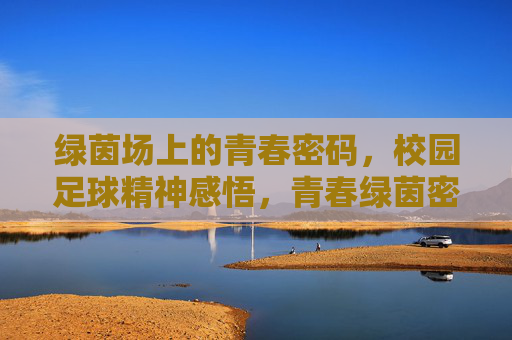 绿茵场上的青春密码，校园足球精神感悟，青春绿茵密码，校园足球精神