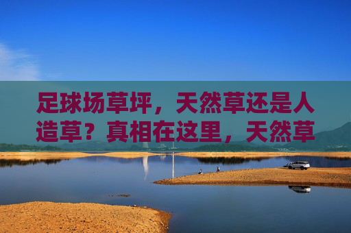 足球场草坪,天然草还是人造草?真相在这里,天然草VS人造草,足球场草坪的真相 足球场草坪,天然草还是人造草?真相在这里,天然草VS人造草,足球场草坪的真相