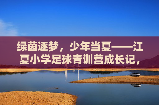 绿茵逐梦，少年当夏——江夏小学足球青训营成长记，江夏小学足球青训营，绿茵逐梦，少年当夏成长