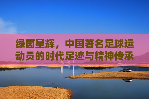 绿茵星辉，中国著名足球运动员的时代足迹与精神传承，绿茵星辉，中国著名足球运动员的时代足迹与精神传承