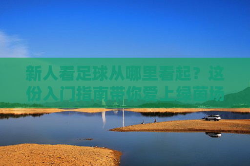 新人看足球从哪里看起？这份入门指南带你爱上绿茵场，新人看足球入门指南，从零爱上绿茵场