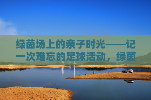 绿茵场上的亲子时光——记一次难忘的足球活动，绿茵场上的亲子足球时光