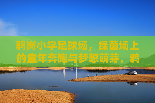 鸦岗小学足球场，绿茵场上的童年奔跑与梦想萌芽，鸦岗小学绿茵场，童年奔跑，梦想萌芽