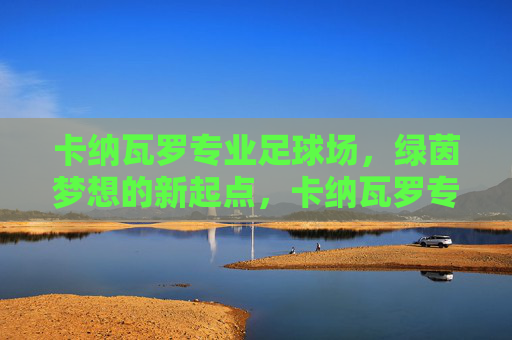 卡纳瓦罗专业足球场，绿茵梦想的新起点，卡纳瓦罗专业足球场，绿茵梦想新起点