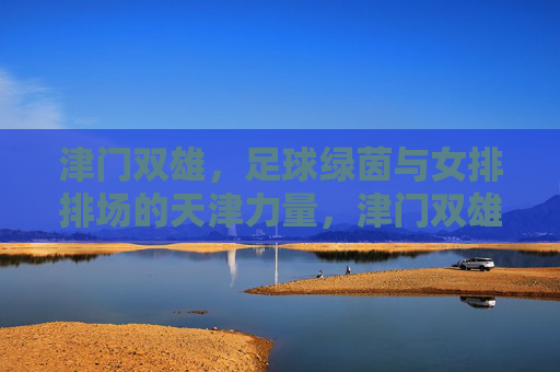 津门双雄，足球绿茵与女排排场的天津力量，津门双雄，绿茵排场间的天津力量