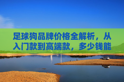 足球狗品牌价格全解析，从入门款到高端款，多少钱能入手？足球狗品牌价格全解析，从入门到高端，多少钱能入手？