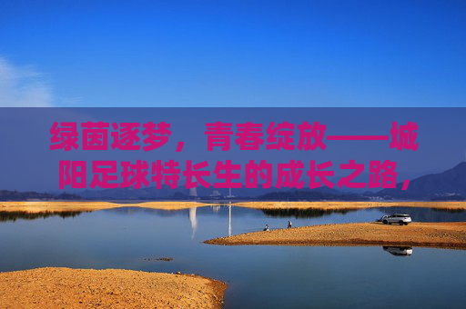 绿茵逐梦，青春绽放——城阳足球特长生的成长之路，绿茵逐梦，青春绽放——城阳足球特长生的成长之路