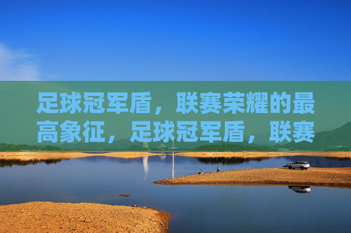 足球冠军盾，联赛荣耀的最高象征，足球冠军盾，联赛荣耀的最高象征