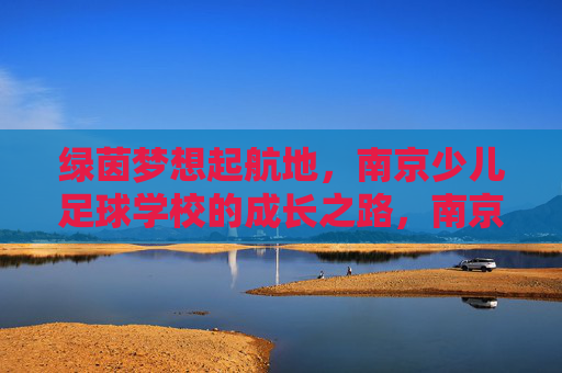 绿茵梦想起航地，南京少儿足球学校的成长之路，南京少儿足球学校，绿茵梦想的起航与成长