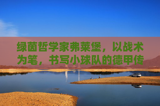 绿茵哲学家弗莱堡，以战术为笔，书写小球队的德甲传奇