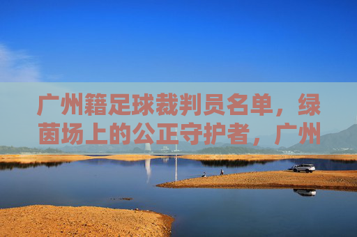 广州籍足球裁判员名单，绿茵场上的公正守护者，广州足球裁判，绿茵场上的公正守护者