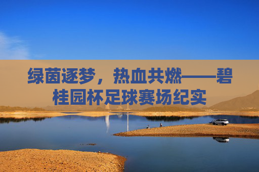 绿茵逐梦，热血共燃——碧桂园杯足球赛场纪实