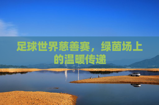 足球世界慈善赛，绿茵场上的温暖传递