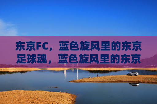 东京FC，蓝色旋风里的东京足球魂，蓝色旋风里的东京足球魂