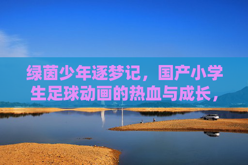 绿茵少年逐梦记，国产小学生足球动画的热血与成长，绿茵少年逐梦，国产足球动画的热血成长
