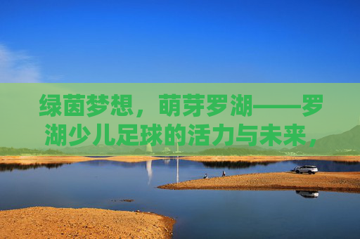绿茵梦想，萌芽罗湖——罗湖少儿足球的活力与未来，绿茵萌芽罗湖，少儿足球活力未来