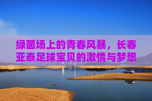 绿茵场上的青春风暴，长春亚泰足球宝贝的激情与梦想，绿茵青春风暴，长春亚泰足球宝贝的激情与梦想