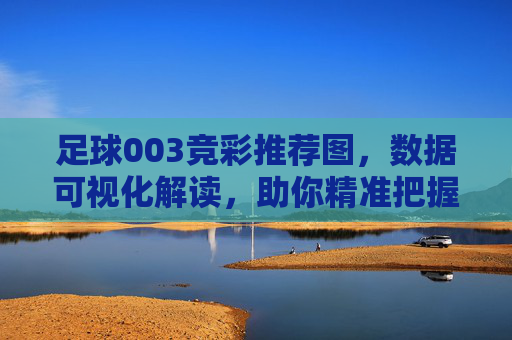足球003竞彩推荐图，数据可视化解读，助你精准把握赛事脉搏