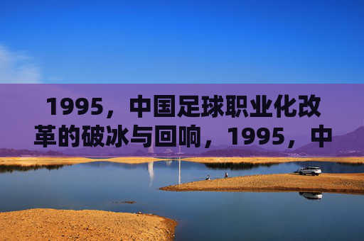 1995，中国足球职业化改革的破冰与回响，1995，中国足球职业化改革的破冰与回响