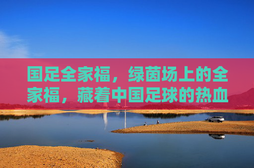 国足全家福，绿茵场上的全家福，藏着中国足球的热血与期盼，国足全家福，绿茵场的热血与期盼