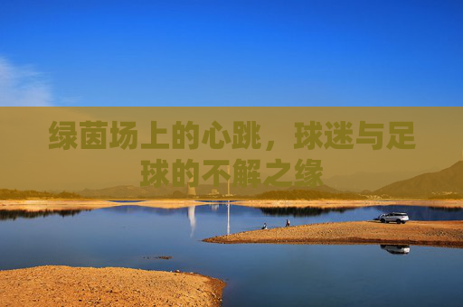 绿茵场上的心跳，球迷与足球的不解之缘