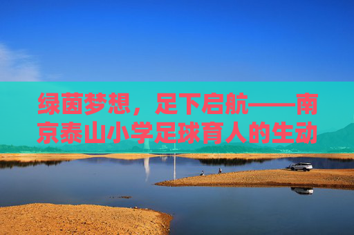 绿茵梦想，足下启航——南京泰山小学足球育人的生动实践，南京泰山小学足球育人的生动实践