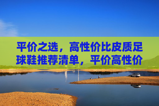平价之选，高性价比皮质足球鞋推荐清单，平价高性价比皮质足球鞋推荐