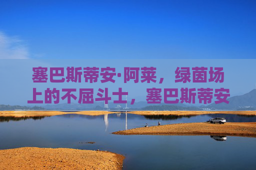 塞巴斯蒂安·阿莱，绿茵场上的不屈斗士，塞巴斯蒂安·阿莱，绿茵场的不屈斗士