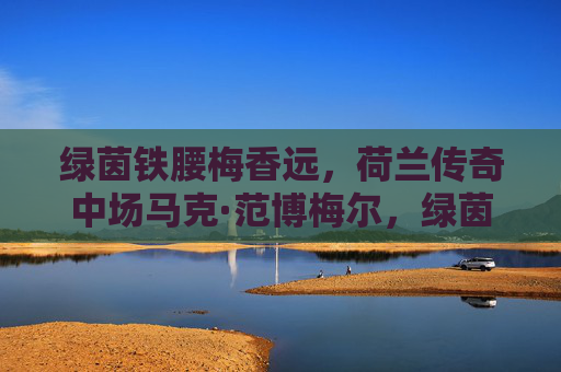 绿茵铁腰梅香远，荷兰传奇中场马克·范博梅尔，绿茵铁腰梅香远——荷兰传奇中场马克·范博梅尔