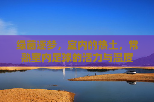 绿茵逐梦,室内的热土,常熟室内足球的活力与温度 绿茵逐梦,室内的热土,常熟室内足球的活力与温度