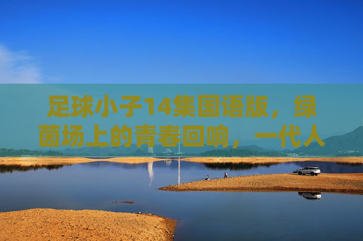 足球小子14集国语版，绿茵场上的青春回响，一代人的热血启蒙，足球小子14集国语版，绿茵场上的青春热血启蒙