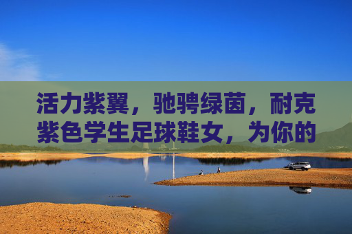 活力紫翼，驰骋绿茵，耐克紫色学生足球鞋女，为你的足球梦想加速！活力紫翼驰骋绿茵，耐克紫色学生足球鞋，加速足球梦想！