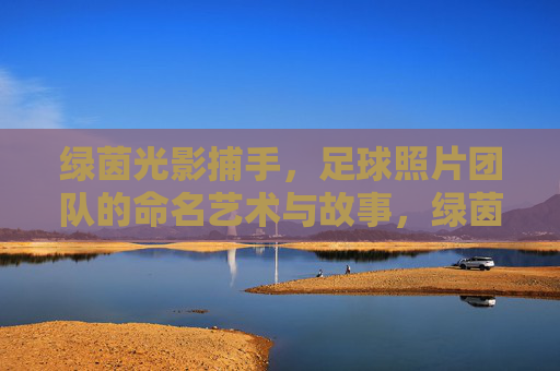 绿茵光影捕手，足球照片团队的命名艺术与故事，绿茵光影捕手，足球照片团队的命名艺术与故事