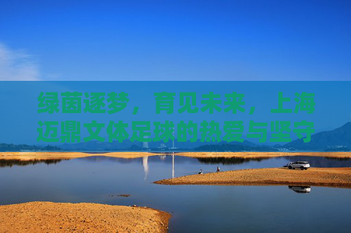 绿茵逐梦，育见未来，上海迈鼎文体足球的热爱与坚守，绿茵逐梦，热爱坚守育未来