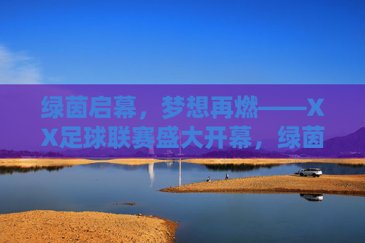 绿茵启幕，梦想再燃——XX足球联赛盛大开幕，绿茵启幕，梦想再燃——XX足球联赛盛大开幕