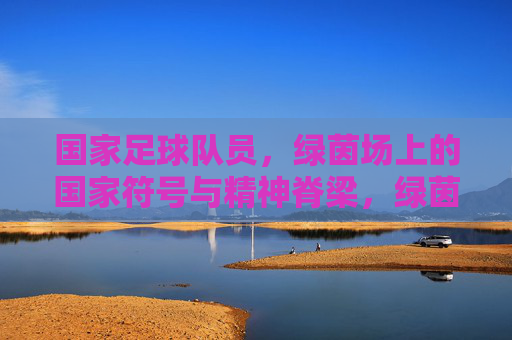 国家足球队员，绿茵场上的国家符号与精神脊梁，绿茵场上的国家符号与精神脊梁