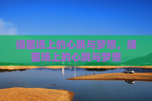 绿茵场上的心跳与梦想，绿茵场上的心跳与梦想