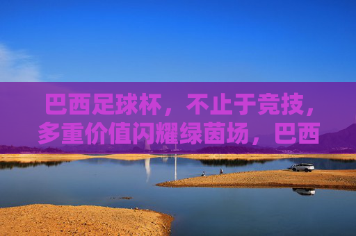 巴西足球杯，不止于竞技，多重价值闪耀绿茵场，巴西足球杯，不止于竞技，多重价值闪耀绿茵场