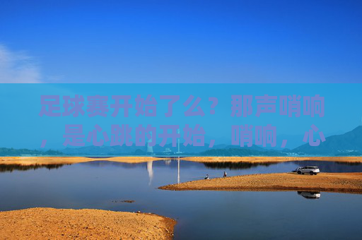 足球赛开始了么？那声哨响，是心跳的开始，哨响，心跳为球赛而跃
