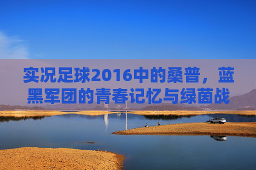 实况足球2016中的桑普，蓝黑军团的青春记忆与绿茵战场，实况足球2016，桑普蓝黑军团的青春绿茵记忆