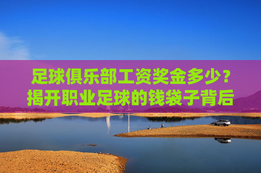 足球俱乐部工资奖金多少？揭开职业足球的钱袋子背后，职业足球工资奖金揭秘，钱袋子背后的真相