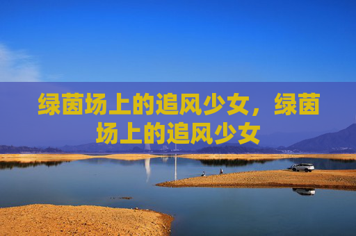 绿茵场上的追风少女，绿茵场上的追风少女
