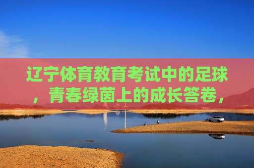 辽宁体育教育考试中的足球，青春绿茵上的成长答卷，辽宁体育教育考试足球，青春绿茵上的成长答卷