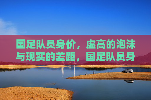 国足队员身价，虚高的泡沫与现实的差距，国足队员身价，虚高泡沫与现实的鸿沟