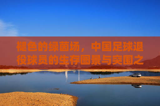 褪色的绿茵场，中国足球退役球员的生存图景与突围之路，褪色绿茵场，中国足球退役球员的生存图景与突围
