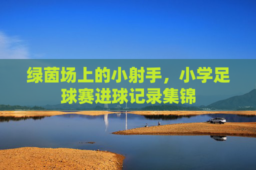 绿茵场上的小射手，小学足球赛进球记录集锦
