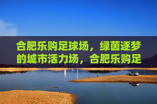 合肥乐购足球场，绿茵逐梦的城市活力场，合肥乐购足球场，绿茵逐梦的城市活力场